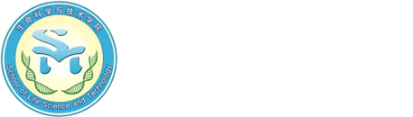 永利集团304官网
